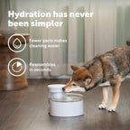 PetSafe Outlast Pumpless Cat Water Fountain, 60 oz/1.7L, Dishwasher Safe | Pumpless HydroSpin Design Circulates 60 Oz Water, Ion-x Carbon/Ion-Exchange Filter, Smart Sensors Slow Flow at Night