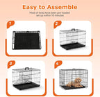 FDW 24-Inch Dog Crate for Small Dogs, Double Door Folding Metal Wire Pet Kennel with Divider Panel & Leak-Proof Plastic Tray, Black