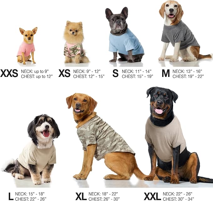 Pet Passion Toby II - The Perfect Tee, 8 Pack Short Sleeve Pet T-Shirt 100% Organic Cotton Tees Clothes for Small, Medium, Large Dogs, Rainbow Pink, XX-Small