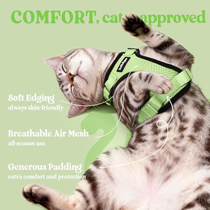 rabbitgoo Cat Harness and Leash Set, Escape Proof Vest, Light Green | Soft Breathable Mesh, Easy Adjustable Fit, Snap Buckles, Sturdy Clip, Reflective Strips, for Kittens & Small Cats Walks, Xxs