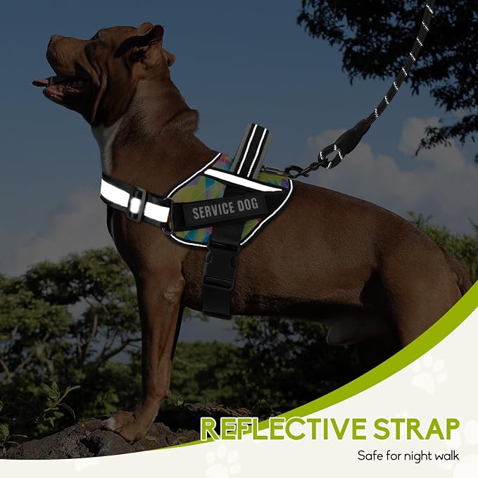 Service Dog Vest Harness and Leash Set, Animire in Training Dog Harness with 10 Dog Patches, Reflective Dog Leash with Soft Padded Handle for Small, Medium, Large, and Extra-Large Dogs