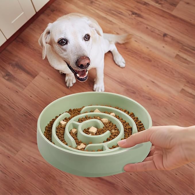 Ceramic Slow Feeder Dog Bowl,1.5 Cups Pet Slow Feeder for Small and Medium Breed,Puzzle Dog Food Dish,Anti-Gulping,Stop Bloat,Preventing Choking(Green)
