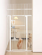 No Pawblems 71" Extra Tall Pet Gate, 29"-43" Wide Pressure Mounted, White | 1.37" Ultra Narrow Spacing, Auto-Close Tall Cat Gate for Doorway, Dual-Lock, One-handed Operation