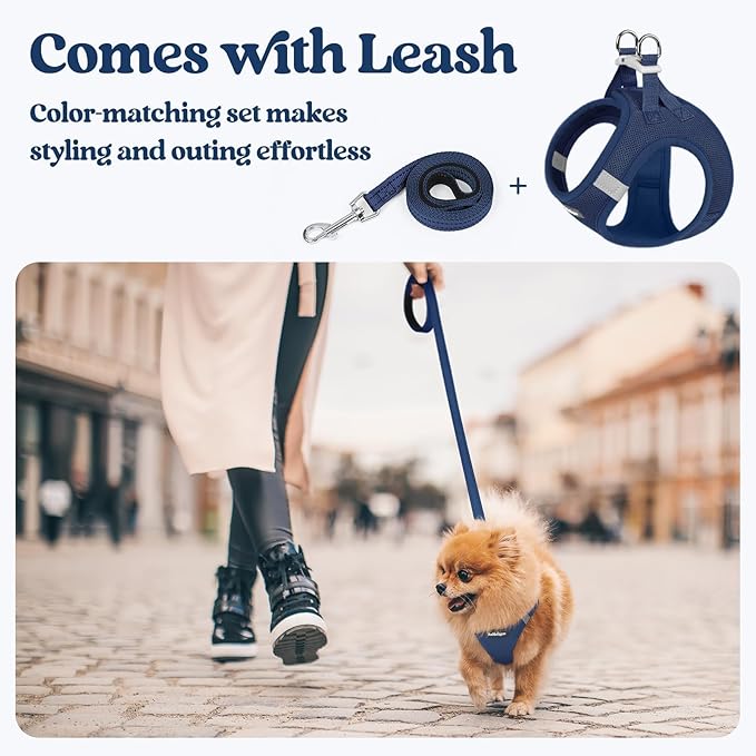 rabbitgoo Dog Harness Small Sized and Leash Set, Step-in Puppy Pet Vest | Light, Soft, Breathable Air Mesh, Easy on and Remove with Hook & Loop, Secure Reflective for Walking, Navy Blue M