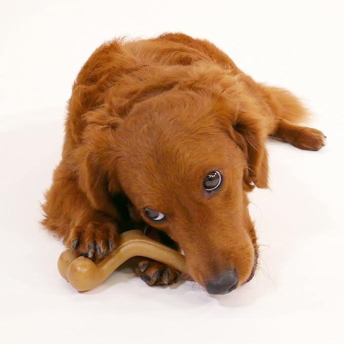 Nylabone Strong Chew Gourmet Style Wishbone Dog Chew Toy, Chicken Flavor | Small breeds, durable chew toys, long lasting, easy-hold shape, helps clean teeth, for dogs up to 25 lbs