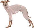 D Doggy Star Italian Greyhound Clothes Sheer Mesh Onesie Summer Jumpsuit Breathable Full Body Protection for Outdoor Walks Small Whippet Fit (S,Sheer Mesh Pink)