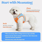 rabbitgoo Dog Harness Small Sized and Leash Set, Step-in Puppy Pet Vest | Light, Soft, Breathable Air Mesh, Easy on and Remove with Hook & Loop, Secure Reflective for Walking, Blue & Orange XXS