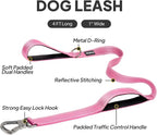 PetiFine 4FT Heavy Duty Dog Leash with Soft Padded Double Handle | Traffic Handle Extra Control,Auto Lock Hook,Reflective Nylon Walking Lead for Large,Medium,Small Breed Dogs