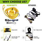 Dog Hanging Bungee Tug Toy: Interactive Tether Tug-of-War for Pitbull Small to Large Dogs to Exercise and Fun Solo Play - Durable Retractable Tugger Dog Rope Toy with 2 Chew Rope Toys