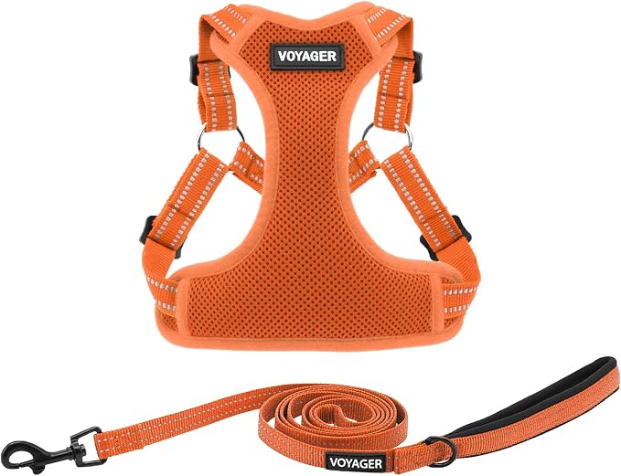 Best Pet Supplies Voyager Adjustable Step-in Flex Breathable Mesh Dog Harness for Small Medium Large Dogs Leash Set (Orange), XL