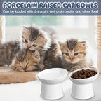 4 Pcs Ceramic Raised Cat Bowls, Elevated Tilted Cat Bowl for Food Water, Stress Free, Backflow Prevention, Dishwasher Microwave Safe, Feeder Dish for Indoor Kitten, Small Dogs(White)