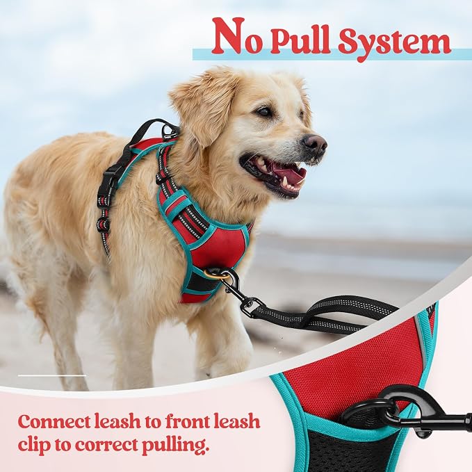 rabbitgoo Dog Harness, No Pull for Large Dogs with 2 Leash Clips, Pet Vest | No Choke with Handle, Adjustable Soft Padded, Reflective, Easy Control for Walking, Red & Teal, X-Large