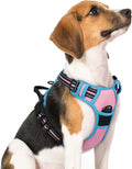 rabbitgoo Dog Harness, No Pull Medium Sized with 2 Leash Clips, Pet Vest | No Choke with Handle, Adjustable Soft Padded, Reflective, Easy Control for Walking, Pink & Blue, Medium