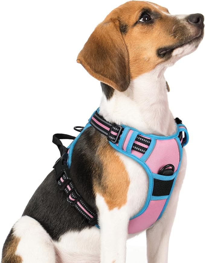 rabbitgoo Dog Harness, No Pull Medium Sized with 2 Leash Clips, Pet Vest | No Choke with Handle, Adjustable Soft Padded, Reflective, Easy Control for Walking, Pink & Blue, Medium