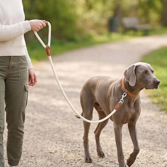 Mile High Life Dog Leash Braided Cotton Rope w/Leather-Wrapped Ends/Handle | Rust-proof 360° swivel clasp, Heavy-duty for medium/large breeds. Great for weddings, daily walks (6 FT, 1/2", White)