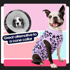 FUAMEY Dog Recovery Suit, Soft Surgical Suit for Dogs Onesie for Surgery | Cone Alternative after Surgery, Abdominal Wound Protector, Anti Lick Suit, Dog Onesie for Surgery Female Purple Leopard M