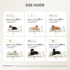 Waterproof Orthopedic Dog Bed for Medium Dogs, 35x22in, Beige | Orthopedic Foam Relieves Joint Pressure, Bolsters Supports Head And Neck, Washable Cover, Non-Slip Bottom