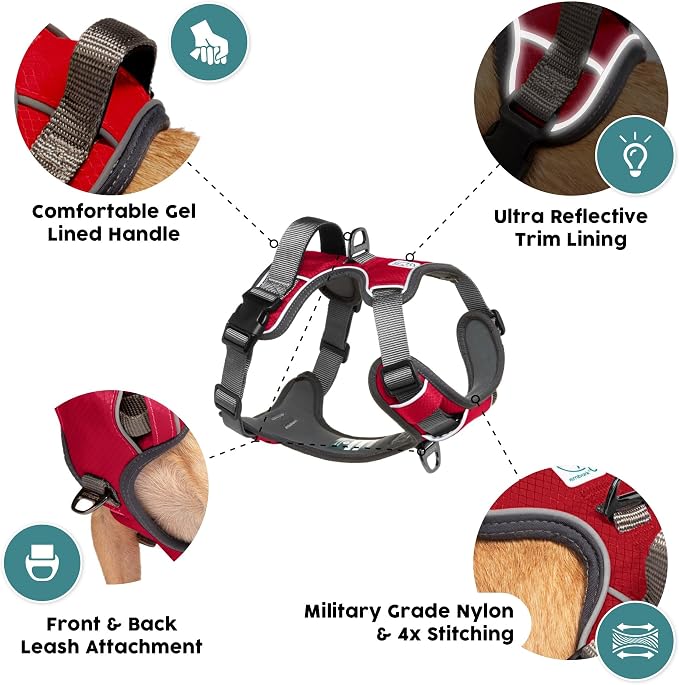 Embark Adventure Small Dog Harness – No-Pull, Reflective Trim, Military-Grade Nylon, Front Clip with Gel-Lined Handle