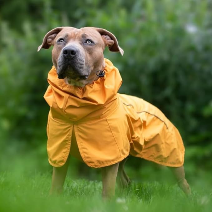Spark Paws Dog Raincoat, Waterproof Windproof Rain Jacket, for Small Medium Large Extra Large Dogs, Reflective Breathable Full-Body Coverage Dry Suit - Mustard Yellow - 3XL