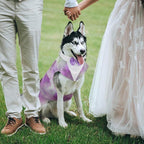 Kuoser Dog Tuxedo, Dog Suit and Bandana Set, Dogs Costume with D-Ring | Formal Dog Outfit with Detachable Bowtie Collar for Wedding, Birthday, Party, Christmas, Halloween, Purple L