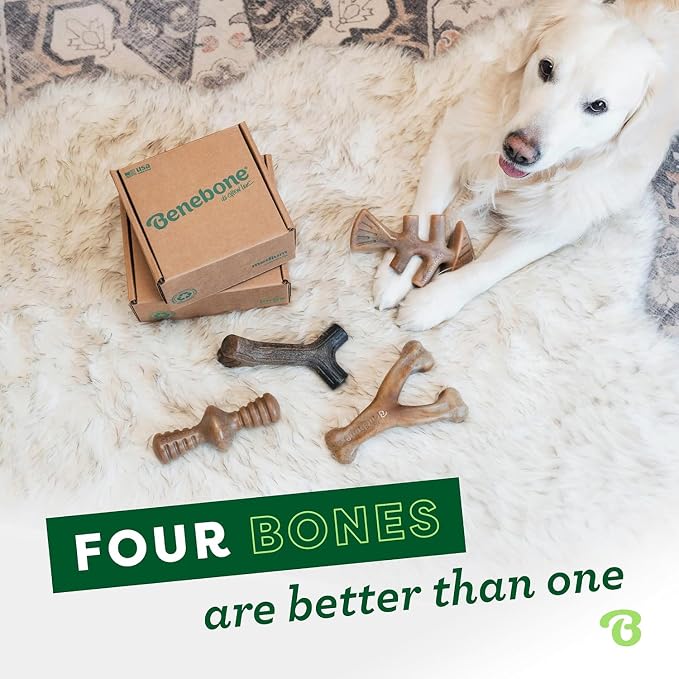 Benebone Medium 4-Pack Dog Toys for Aggressive Chewers – Under 60 lbs