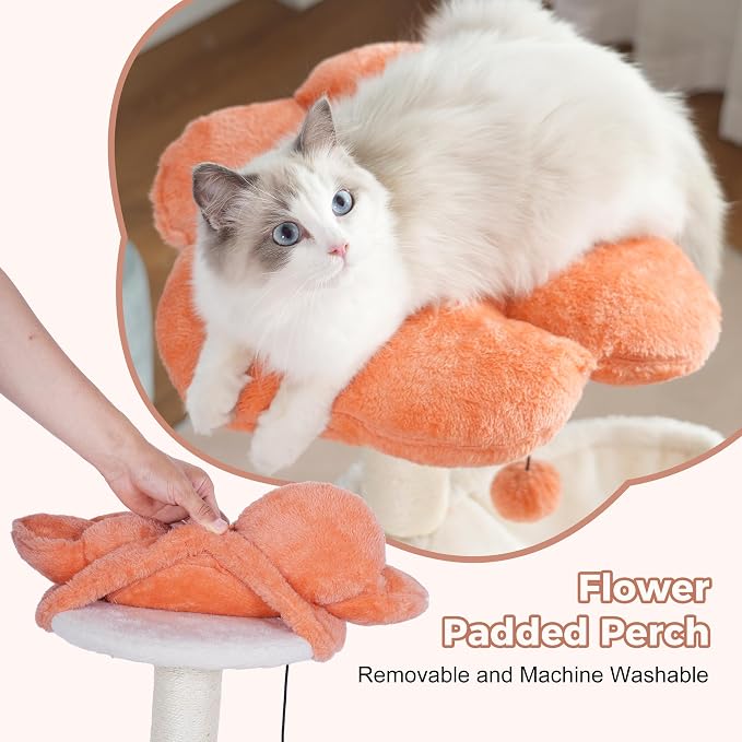 Flower Cat Tree 34" Scratching Post Small Cat Tower for Large Cats,Featuring with 15.7”Large Hammock, Removable Top Bed and Wide Condo for Indoor Cats-Beige | Cute Cat Tower with 15.7” Hammock, Spacious Cat House,34” Scratching Post,Removable Flower Be...
