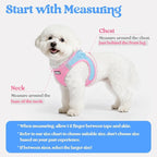 rabbitgoo Dog Harness Small Sized and Leash Set, Step-in Puppy Pet Vest | Light, Soft, Breathable Air Mesh, Easy on and Remove with Hook & Loop, Secure Reflective for Walking, Blue & Light Pink XS