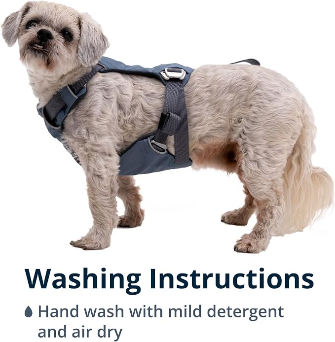 Ruffwear, Load Up Dog Car Harness, Padded Adjustable Travel Restraint with Universal Seat Belt Attachment and Strength-Rated Metal Hardware, for Road Trips in Cars & SUVs, Slate Blue, Medium