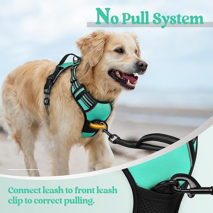 rabbitgoo Dog Harness, No Pull for Large Dogs with 2 Leash Clips, Pet Vest | No Choke with Handle, Adjustable Soft Padded, Reflective, Easy Control for Walking, Turquoise, X-Large