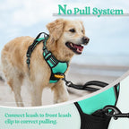 rabbitgoo Dog Harness, No Pull for Large Dogs with 2 Leash Clips, Pet Vest | No Choke with Handle, Adjustable Soft Padded, Reflective, Easy Control for Walking, Turquoise, X-Large