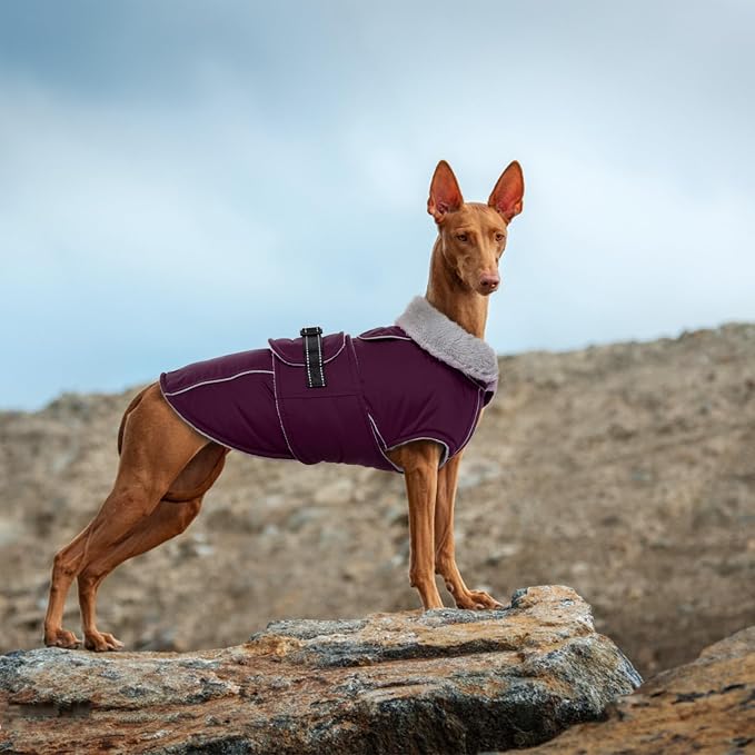 Lelepet Dog Jackets for Large Dogs Waterproof Dog Coat with Adjustable Fit | Reflective Fleece Vest with Adjustable Buckle Hook & Loop Windproof Cold Weather Coats for Small Medium Large Dogs, Labrador