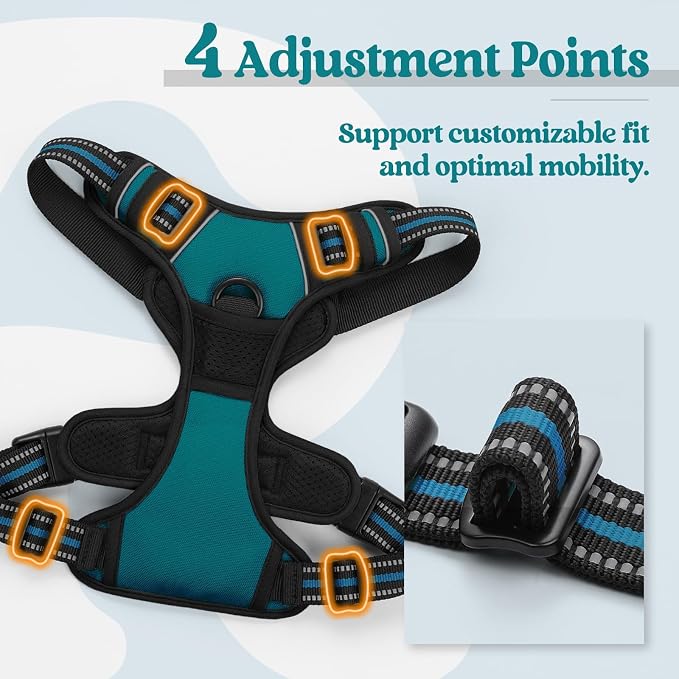 rabbitgoo Dog Harness No Pull with 2 Leash Clips, Adjustable Soft Padded, Reflective Oxford No Choke Pet Vest with Easy Control Handle for Large Dogs, Blue Coral, XL | No Choke with Handle, Adjustable Soft Padded, Reflective, Easy Control for Walking, ...