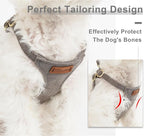 Puppytie Small Dog Harness and Leash Set, Silver Grey, S (9-17.5 lbs) | Dog Harness Small Sized Dog, Dog Leash for Small Dogs, Soft and Lightweight, Puppytie Dog Harness for Daily Walks