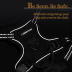 rabbitgoo Dog Harness No Pull with 2 Leash Clips, Adjustable Soft Padded, Reflective Oxford No Choke Pet Vest with Easy Control Handle for Puppy, Black, XS | No Choke with Handle, Adjustable Soft Padded, Reflective, Easy Control for Walking, Black, X-S...