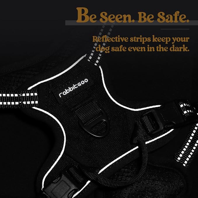 rabbitgoo Dog Harness No Pull with 2 Leash Clips, Adjustable Soft Padded, Reflective Oxford No Choke Pet Vest with Easy Control Handle for Puppy, Black, XS | No Choke with Handle, Adjustable Soft Padded, Reflective, Easy Control for Walking, Black, X-S...