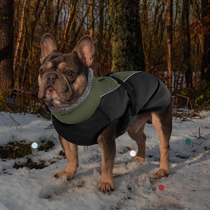 IECOii Extra Warm Dog Coat - Reflective, Adjustable Winter Jacket with Buckle & Fleece Turtleneck for Small to Extra Large Dogs