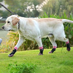 KOOLTAIL Dog Socks Shoes for Hot Pavement to Prevent Licking Paws, Winter Dog Boots&Paw Protector for Hardwood Floors Anti Slip,Traction Control Grip Booties for Small Medium Large Senior Dogs, Pink M
