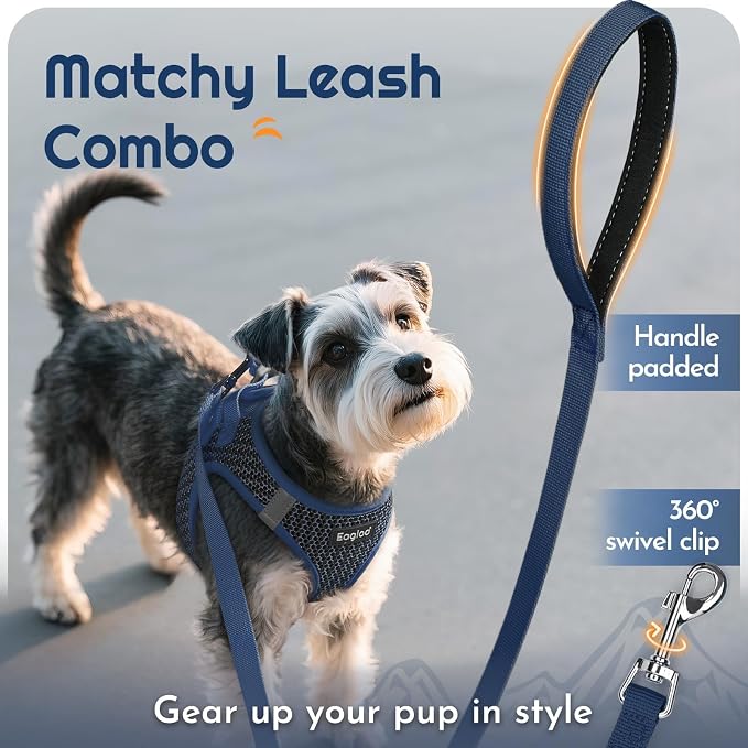 Eagloo Small Dog Harness and Leash Set, Step in Medium Small Puppy Pet Vest | Light, Soft, Breathable Air Mesh, Easy on and off with Hook & Loop, Reflective for Safe Walking, Navy Blue, M