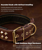 Genuine Leather Dog Collar 2.2 in Wide for Large Dogs Heavy Duty, BN-GD-S | Handcrafted,Stainless Steel Buckle and Alloy Studded,Soft Padded,Fashionable Daily Wear for Large Giant Breed,16.5-20.5 in