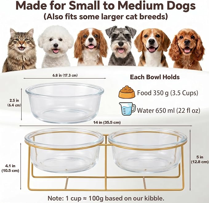 Elevated Dog Bowl Set of 2 - Double Glass Bowls with Gold Iron Stand - Raised Dishes Comfortable Feeding - Ideal for Small to Medium Sized Dogs