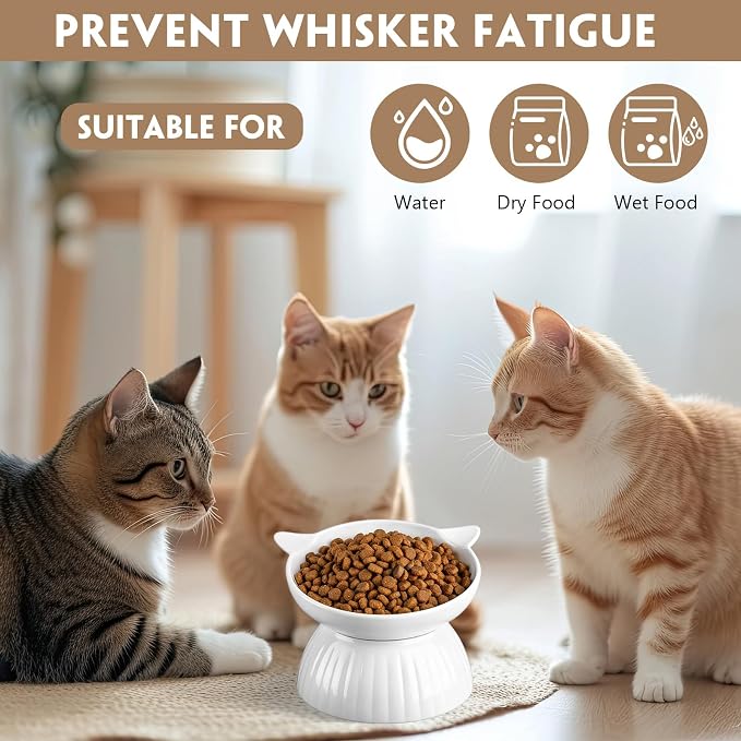 6 Pack Ceramic Raised Cat Bowl, 15° Tilted Anti-Vomiting Cat Food Dish, 5.6 Inch Wide Opening for Stress-Free Eating, Detachable Elevated Feeder for Senior Cats, Kittens, Small Dogs