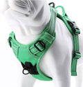 JUXZH Truelove No Pull Dog Harness with Easy Control Handle and 2 Leash Attachments,Reflective Adjustable Pet Vest