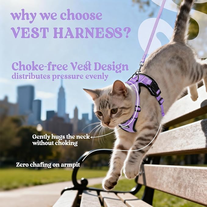 rabbitgoo Cat Harness and Leash Set, Escape Proof Vest, Light Purple | Soft Breathable Mesh, Easy Adjustable Fit, Snap Buckles, Sturdy Clip, Reflective Strips, for Average Cats Walks, S