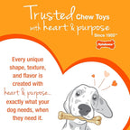 Nylabone Power Chew Customer Favorites Dog Chew Toys, 3 Count, Large | Flavor Medley, peanut butter, and beef flavor, durable dog toys for aggressive chewers, for large breeds up to 50 lbs