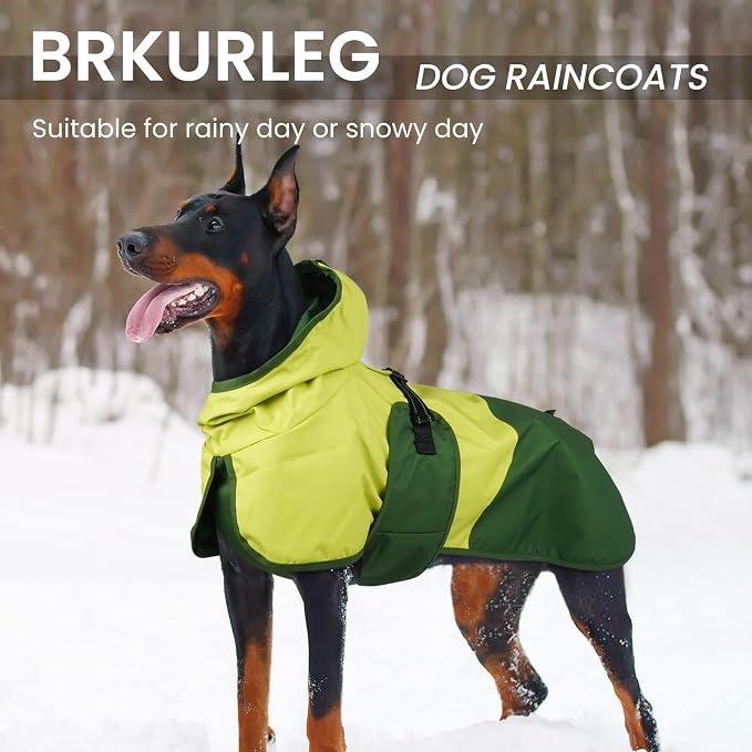 BRKURLEG Dog Raincoat, Waterproof Rain Jacket with Hood, Green, M | Adjustable Windproof Rainproof Jacket with Leash Hole, Reflective Breathable Rain Coat Poncho, for Small to Large Dogs