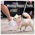 rabbitgoo Dog Harness Small Sized and Leash Set, Step-in Puppy Pet Vest | Light, Soft, Breathable Air Mesh, Easy on and Remove with Hook & Loop, Secure Reflective for Walking, Light Pink & Gray XXS