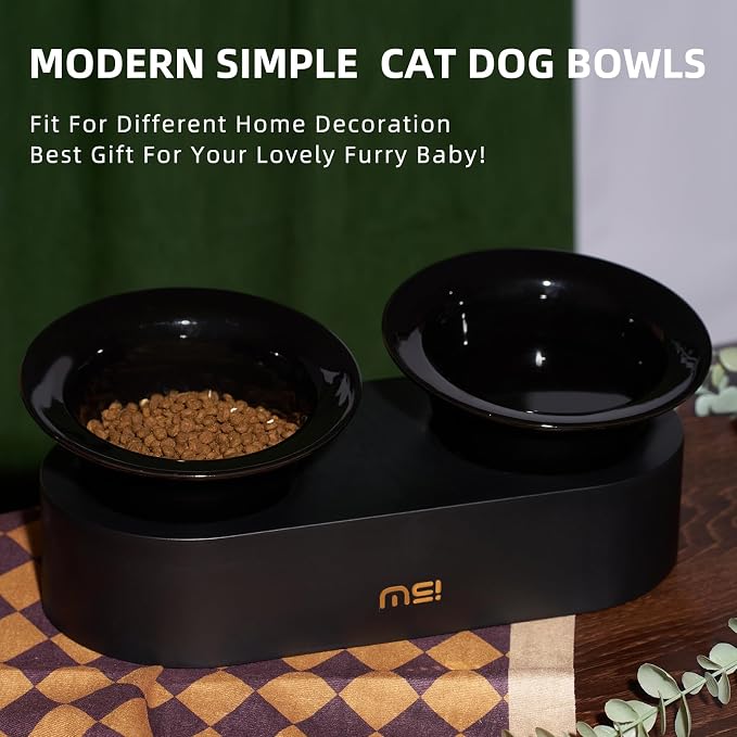 Raised Cat Bowls Set - Ceramic Dishes with Non-Slip Stand, 9° Tilted, Lead & Cadmium Free, for Small Dogs and Cats, 6.5" Wide - 2 x 320ML (10.8 oz), Black