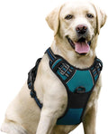 rabbitgoo Dog Harness, No Pull for Large Dogs with 2 Leash Clips, Pet Vest | No Choke with Handle, Adjustable Soft Padded, Reflective, Easy Control for Walking, Blue Coral, Large