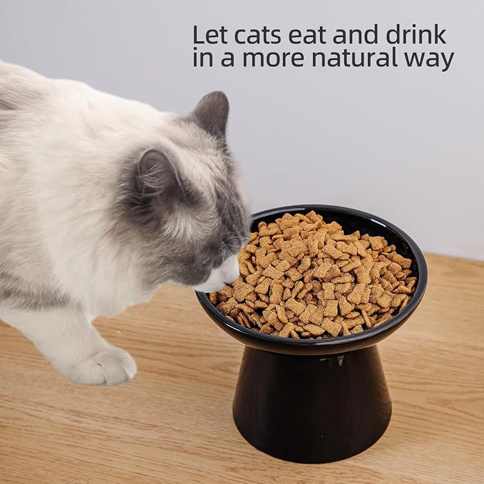 Ceramic Elevated Cat Bowls - 6.2 Inch Extra Wide Raised Cat Food and Water Bowl Set for Indoor Cats, Whisker-Friendly Ceramic Cat Dish for Elder Big Cats & Small Dogs,Black,2 Pack