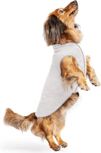 Goldpaw Dog Sun Shirt with UV Protection - Lightweight, Cooling Sun Protection Clothing for Dogs - Reduce Heat Absorption - Pet Clothes Made in the USA - Machine Washable - Size 12 - Pebble Grey